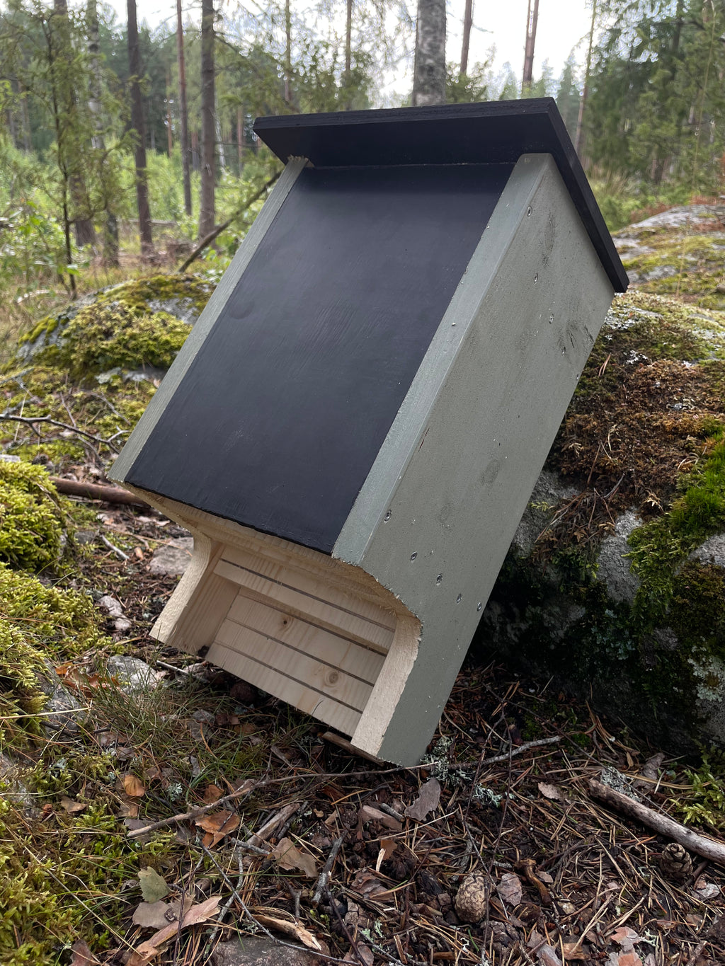 Grön fladdermusholk