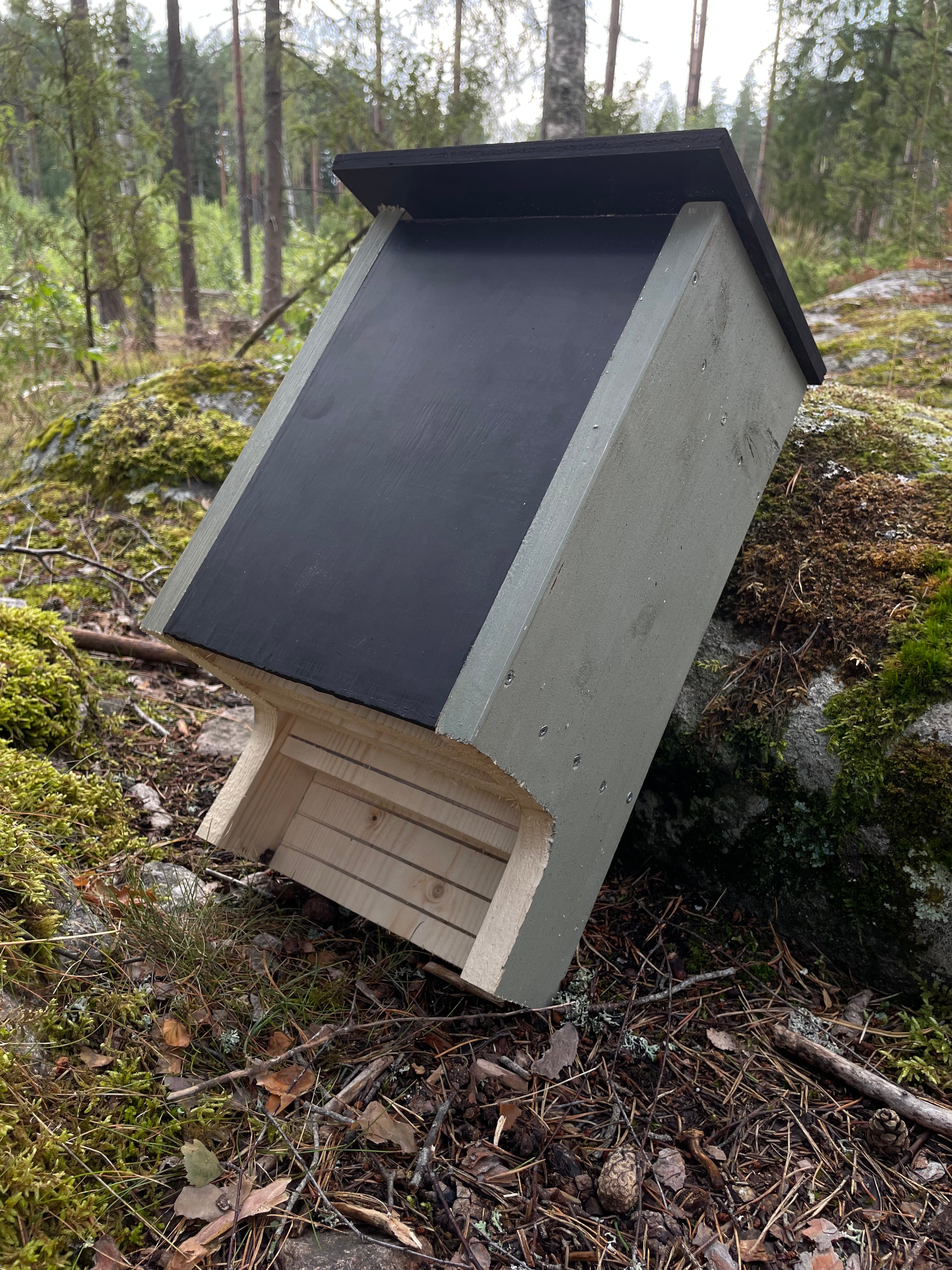 Grön fladdermusholk