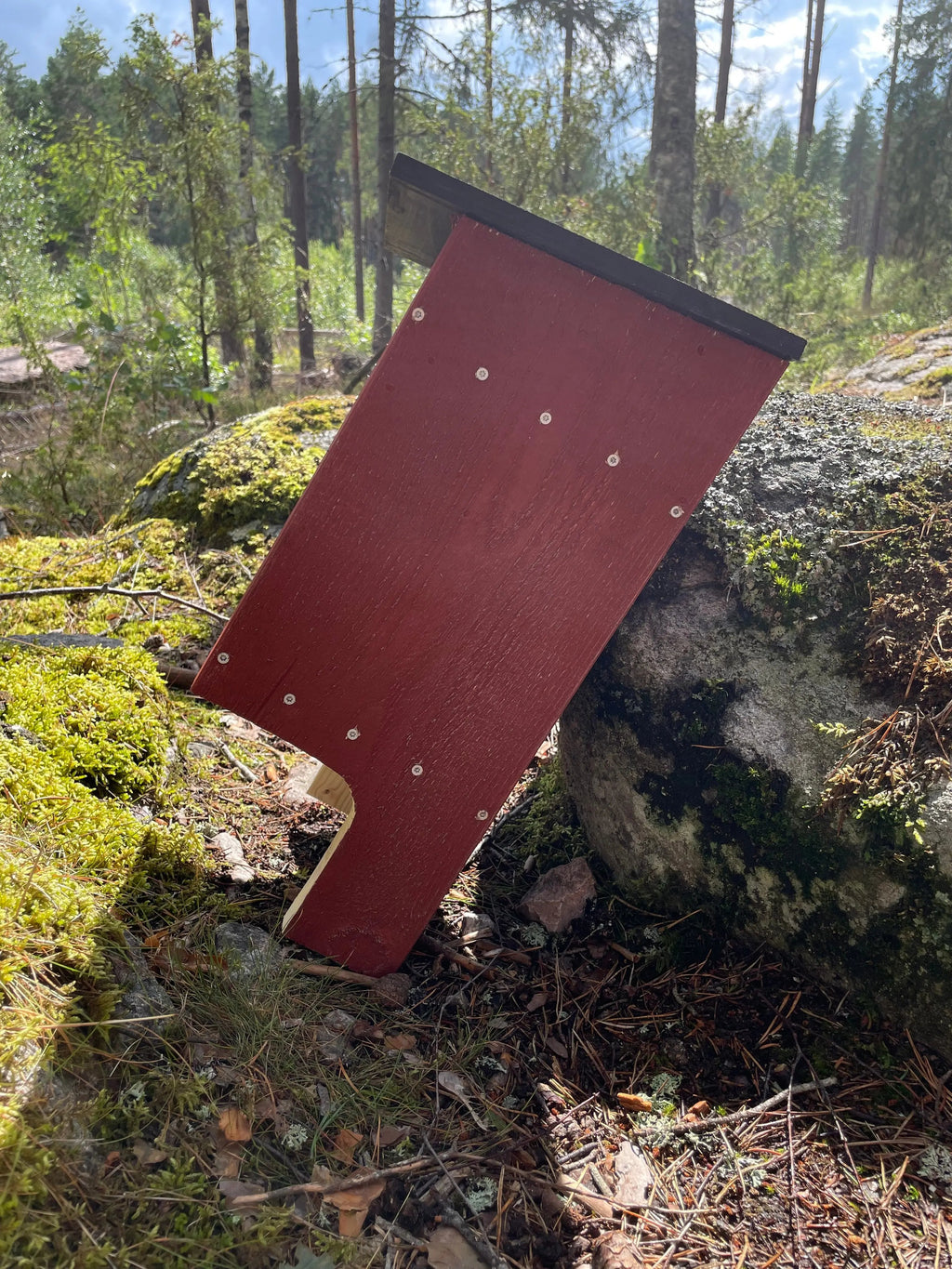 Faluröd fladdermusholk i färgat trä lutad med baksidan mot sten. Holken syns från sidovy.