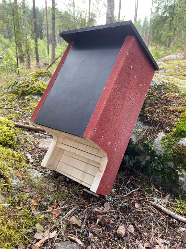 Fladdermusholk i falurött trä sedd bakifrån och från sidan lutad mot sten i skogsmiljö robust holk för nordiska fladdermöss