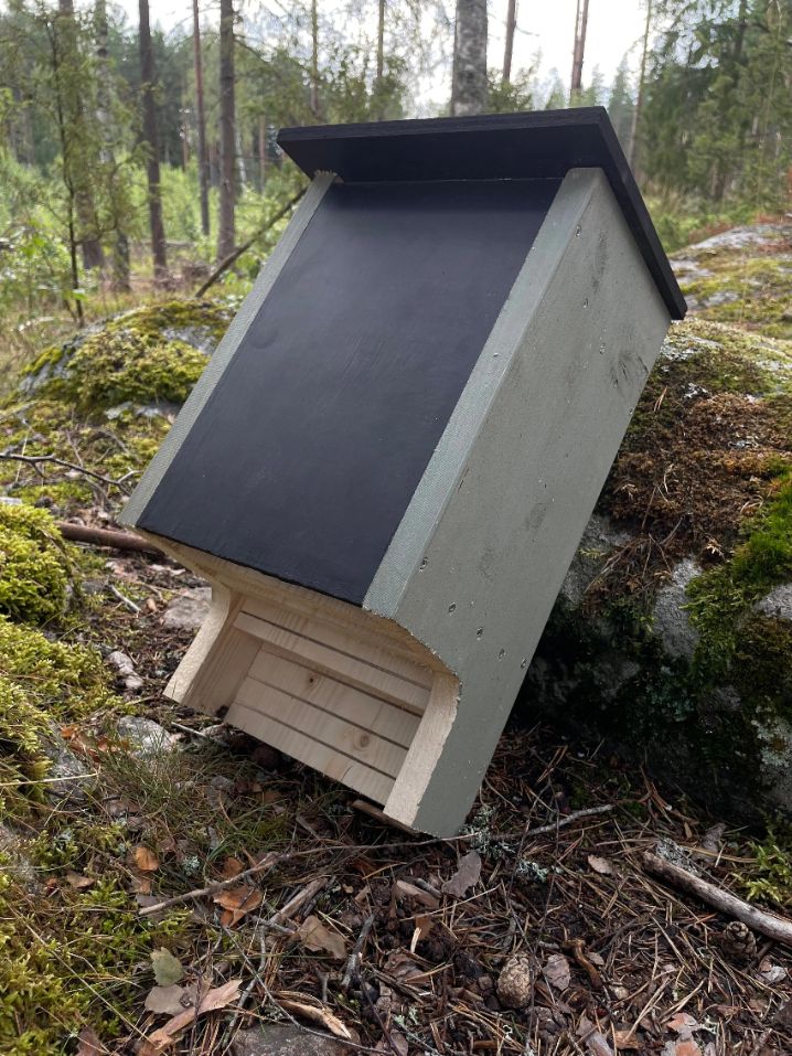 Fladdermusholk i grönmålat trä sedd snett framifrån lutad mot sten i skogsmiljö visar räfflad ingång för nordiska fladdermöss