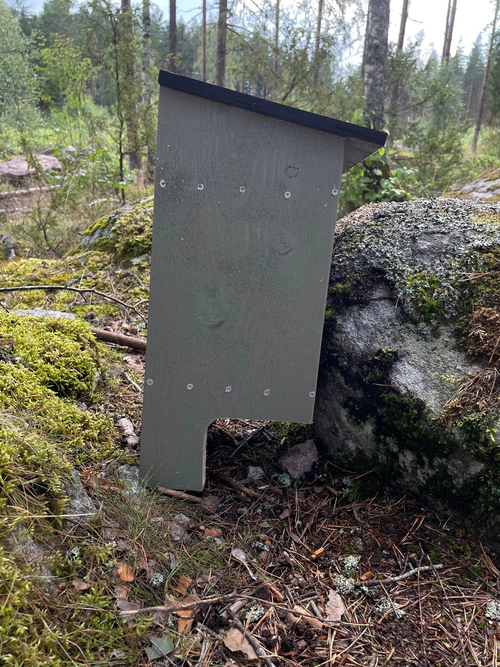 Grön fladdermusholk i trä monterad på trädstam i grönområde som holk för fladdermöss. högersida synligt. 