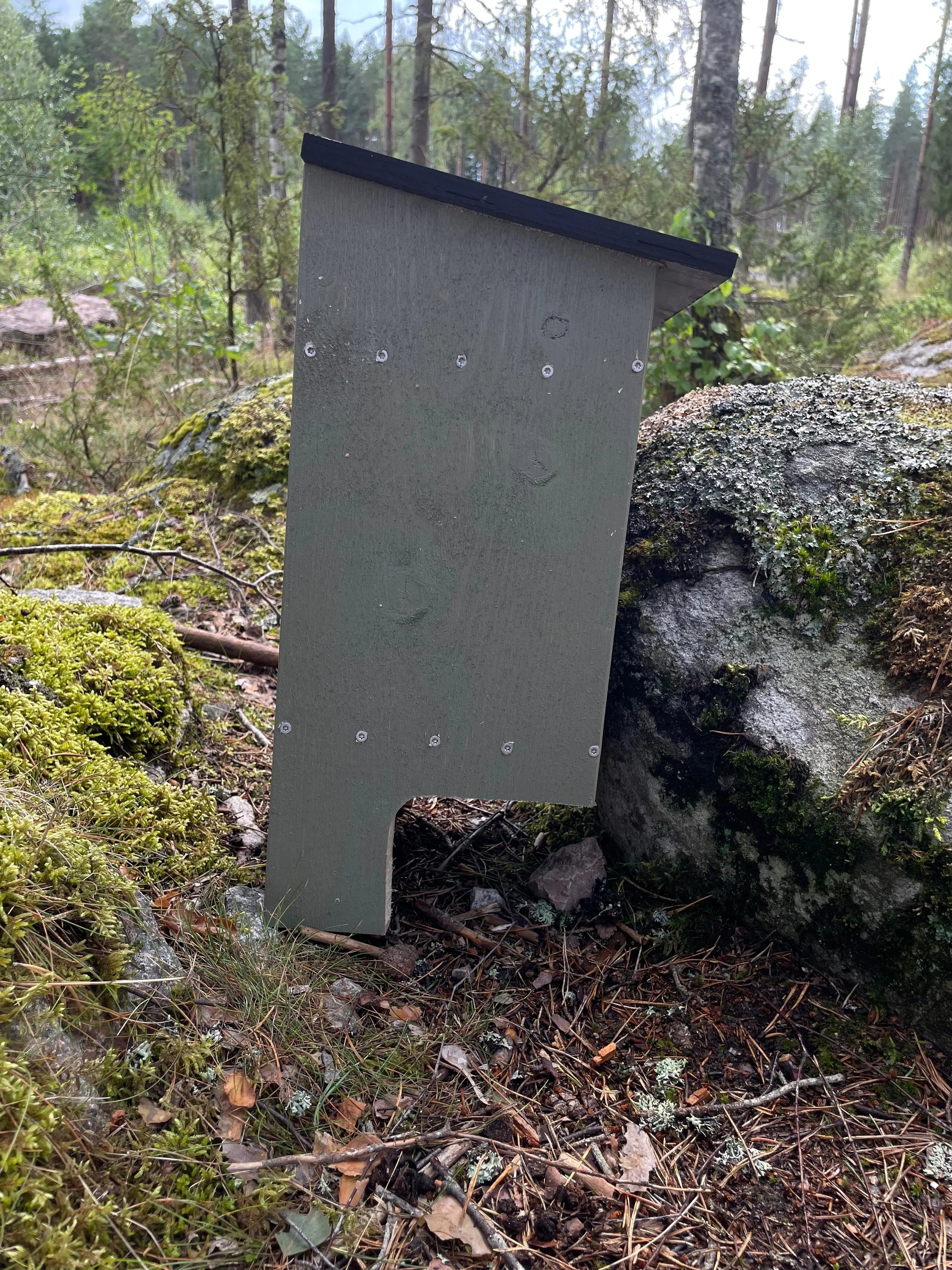 Grön fladdermusholk i trä monterad på trädstam i grönområde som holk för fladdermöss. högersida synligt. 