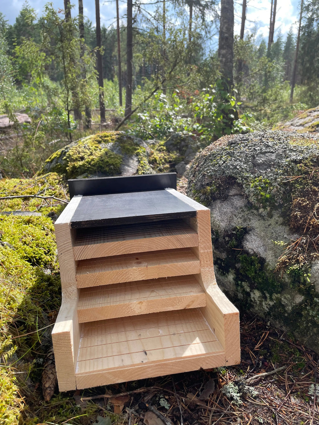 En liggandes fladdermusholk i obehandlat trä i solig skogsmiljö. Man ser fyra tydliga öppningar där fladdermössen tar sig in.