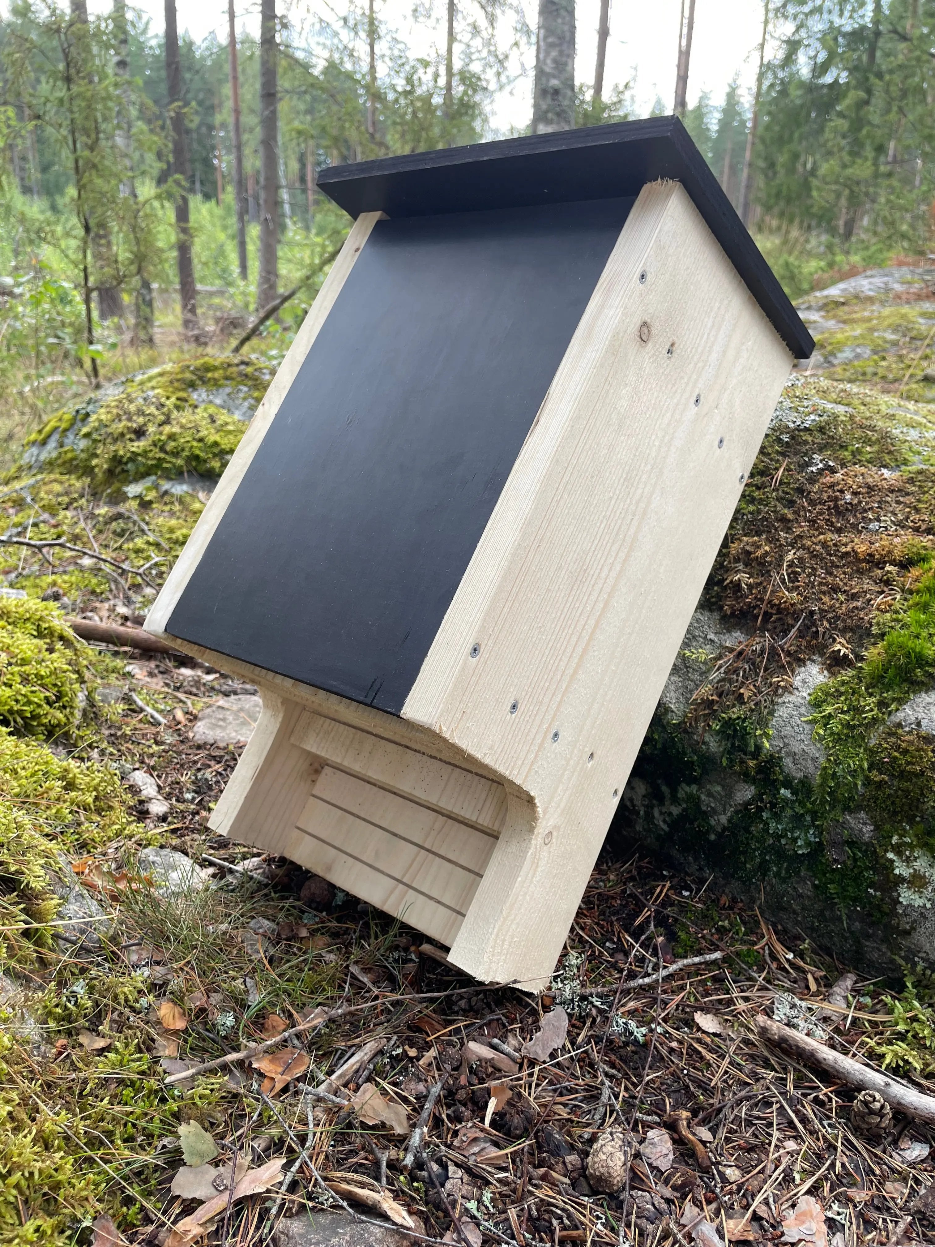 En obehandlad Fladdermusholk i lutad mot sten i skogsmiljö. framsida, sidodel, tak, ingångshål synligt. 