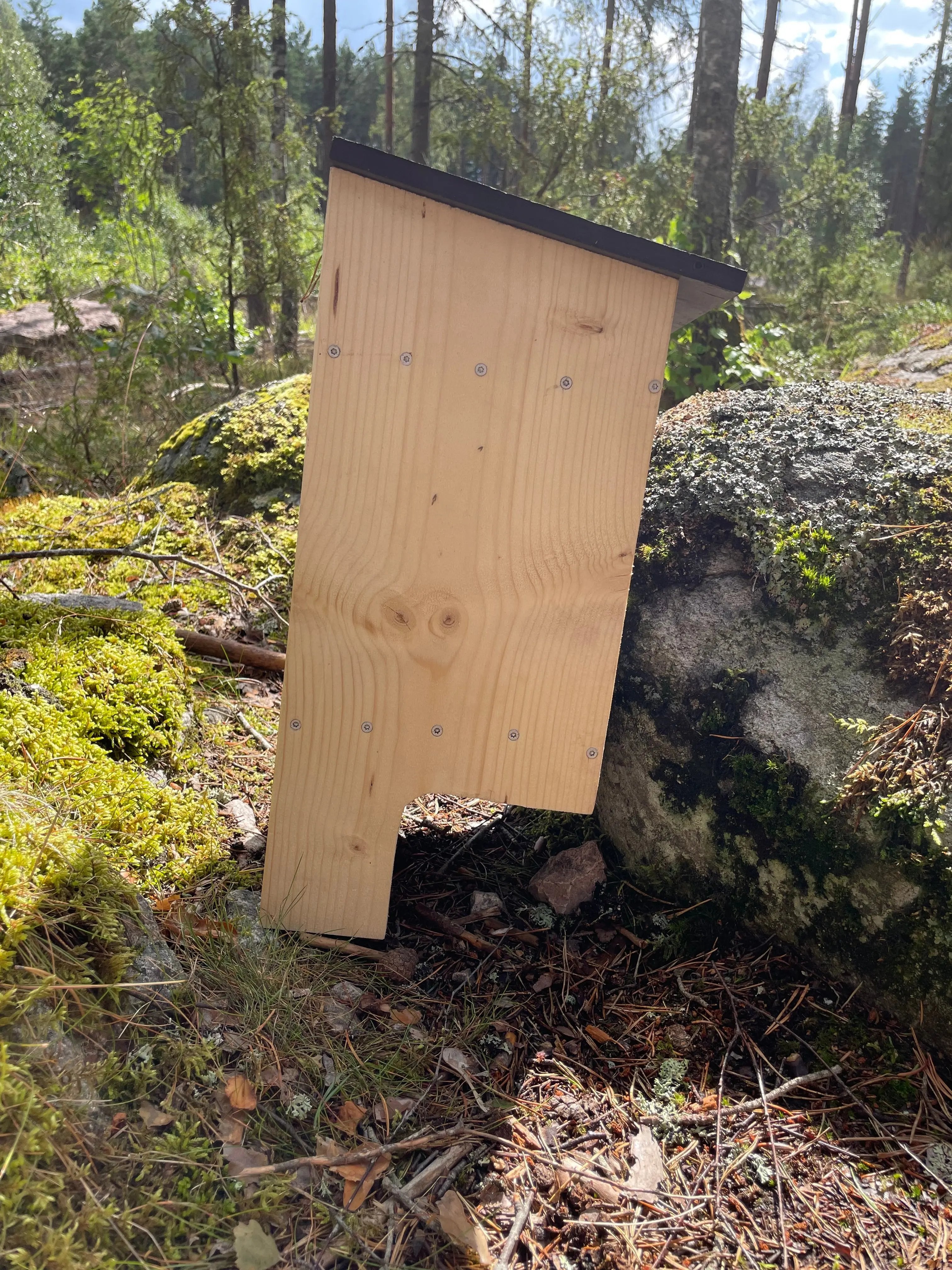 Fladdermusholk i obehandlat trä lutad mot sten i skogen på ett sätt så man ser holken från vänstervy.
