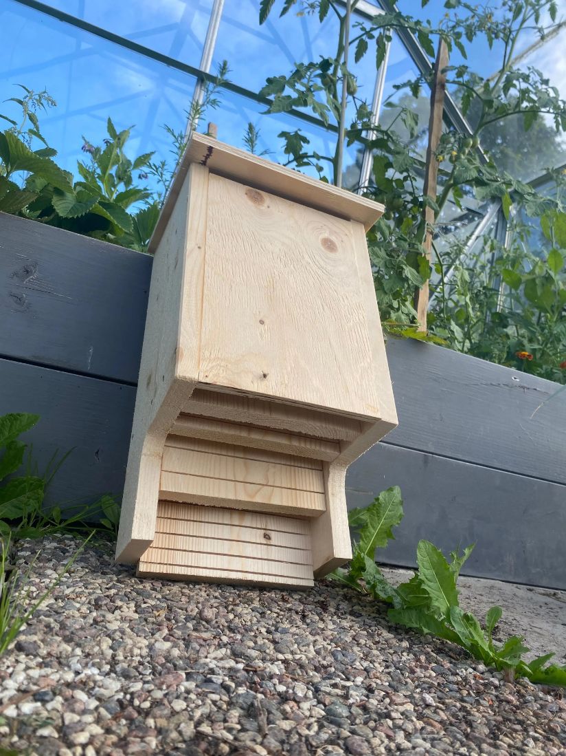 Fladdermusholk i omålat trä sedd underifrån placerad vid odlingsbädd visar räfflad landningsyta för fladdermöss