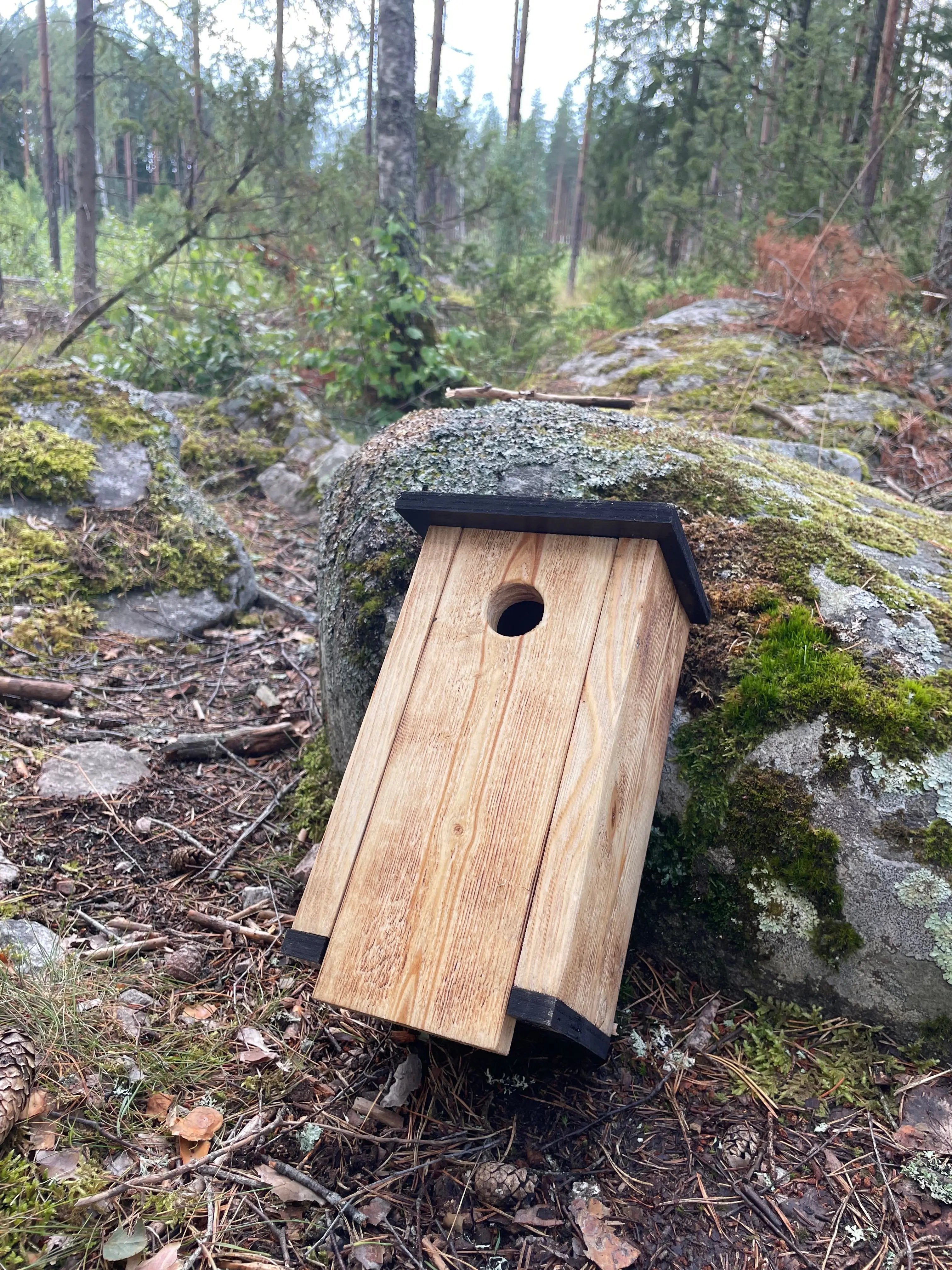Bränd flugsnapparholk i trä lutad mot sten i skogsmiljö. framsidavy 