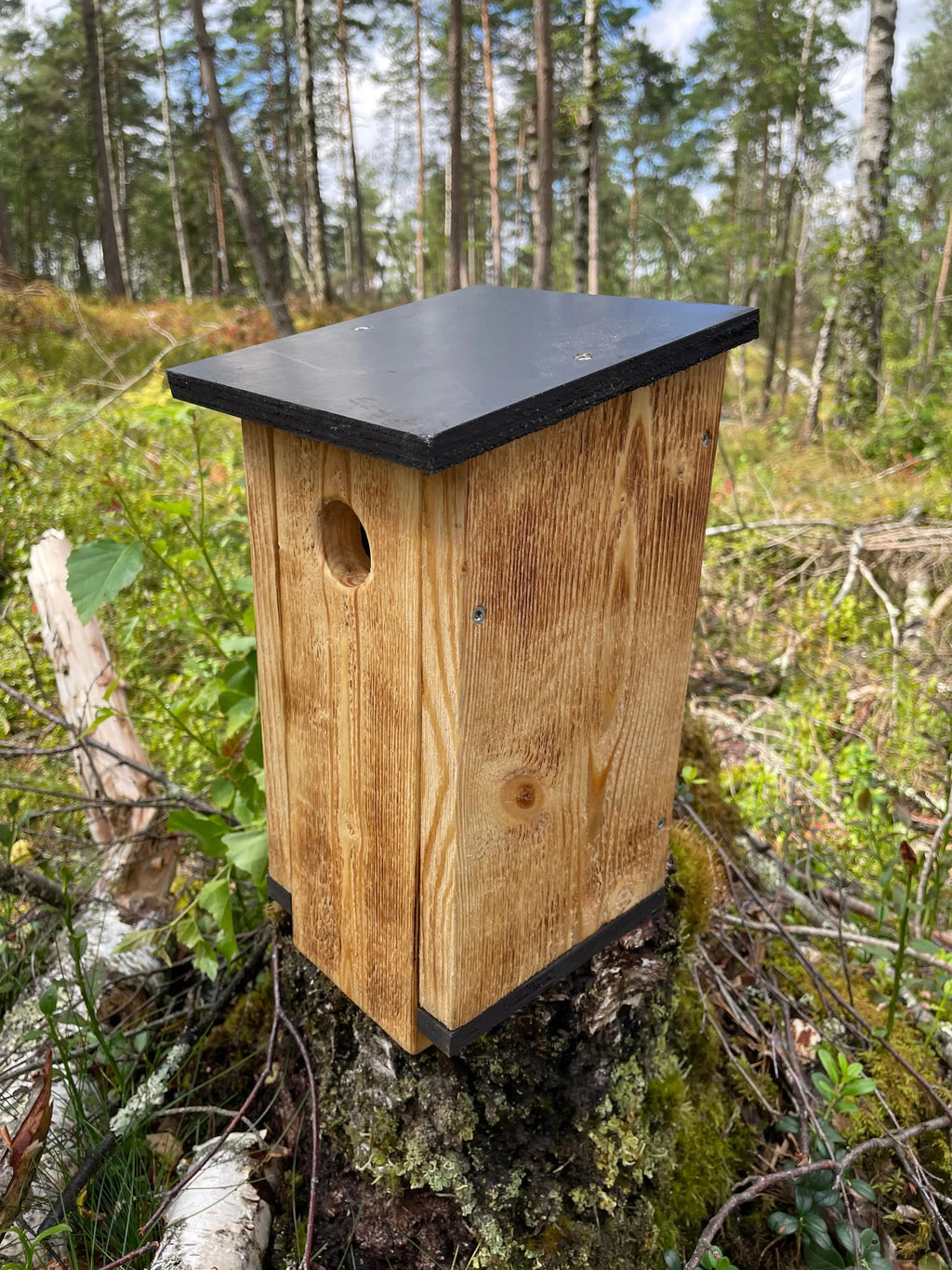 Bränd flugsnapparholk i trä ståendes ute i naturen sidovy/ovanifrån.