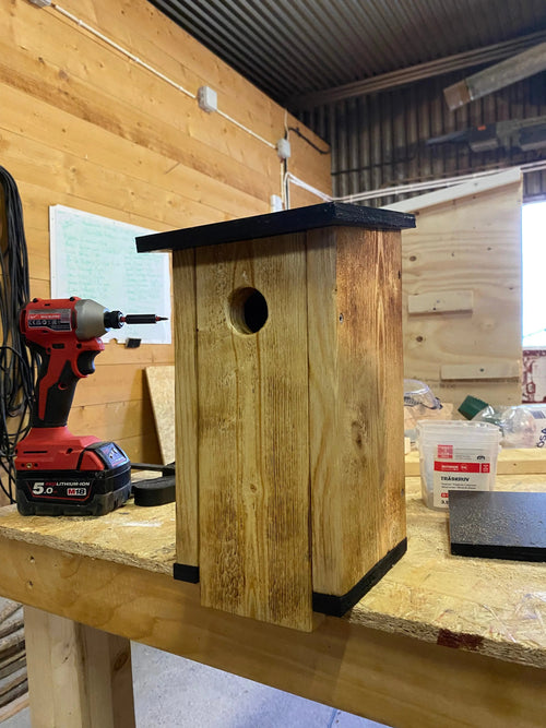 Bränd flugsnapparholk i trä ståendes på bordet underifrån. framsida, tak botten, sida syns på bild