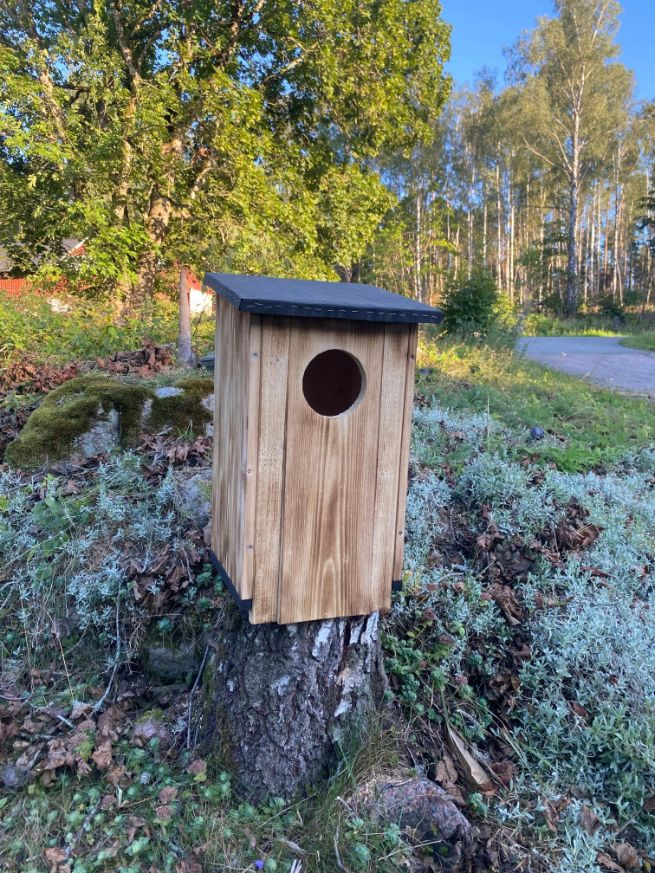 Kattuggleholk i bränt trä sedd framifrån monterad på trädstam i skogsmiljö robust holk för ugglor