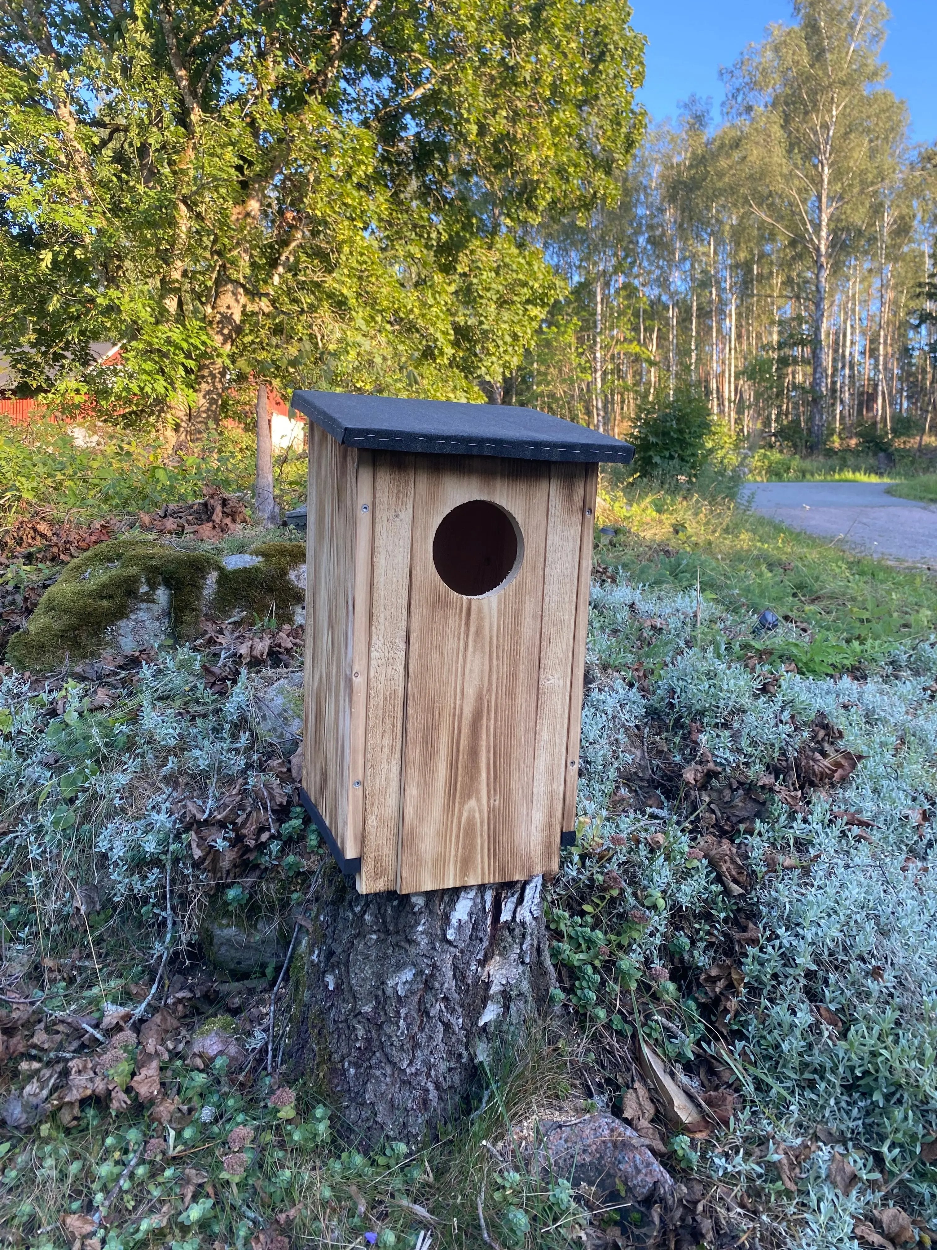 Bränd uggleholk i trä monterad tagen framifrån ståendes