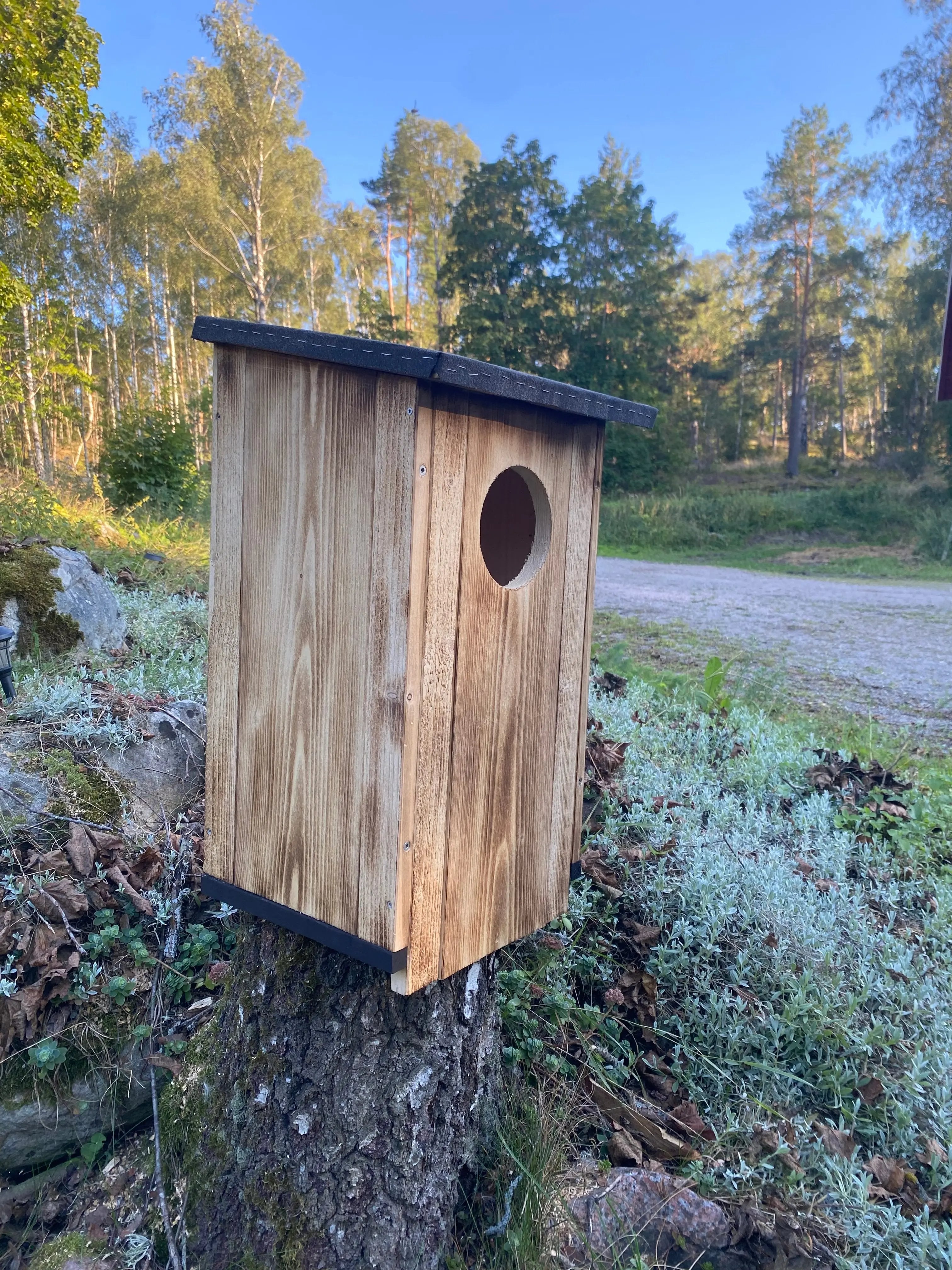 Bränd uggleholk ståendes på stubbe i solnedgång vänstervy på fågelholk för ugglor