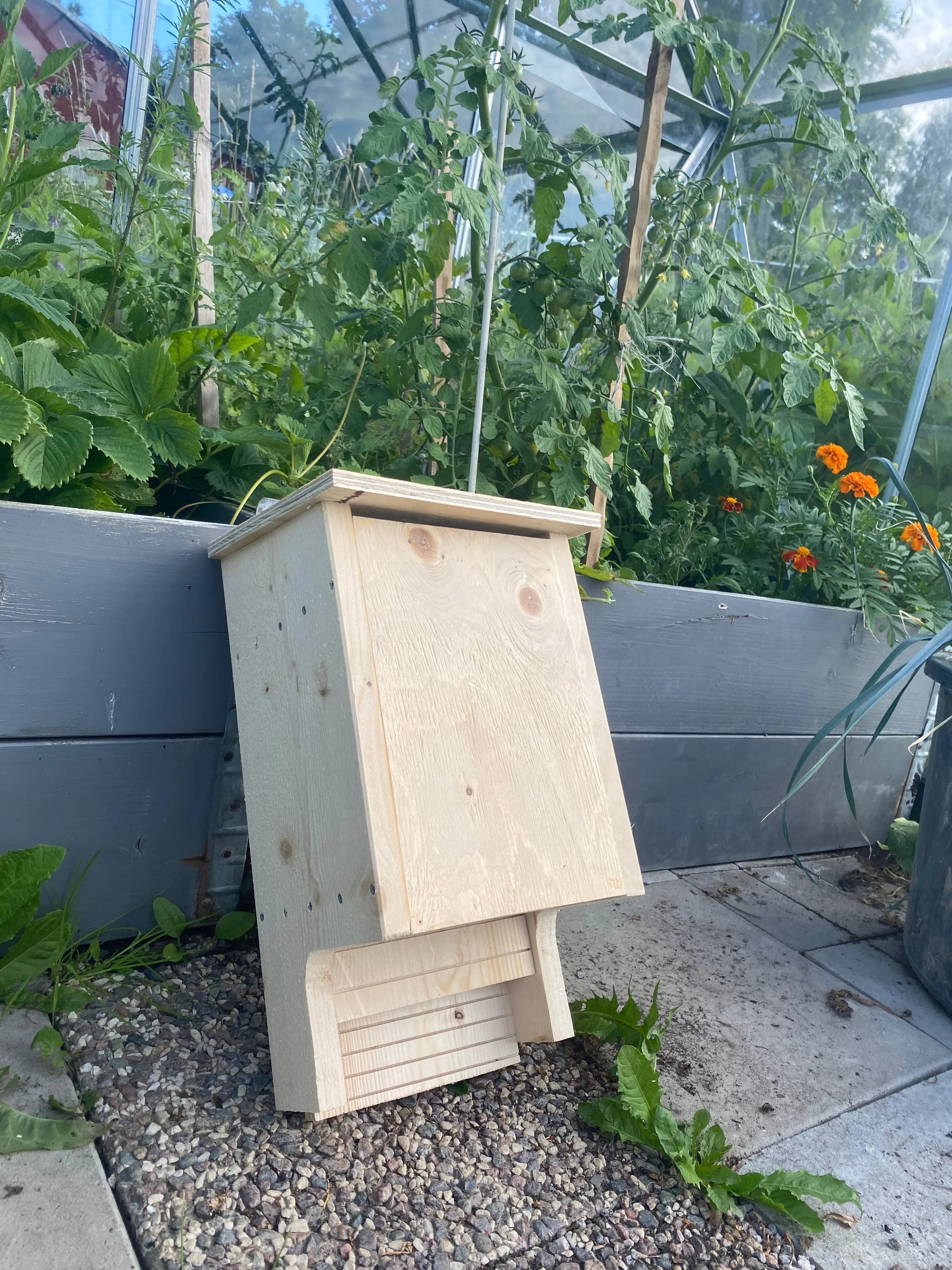 Måla själv fladdermusholk i trä omålad och redo att målas, monterad på trädstam som holk för fladdermöss