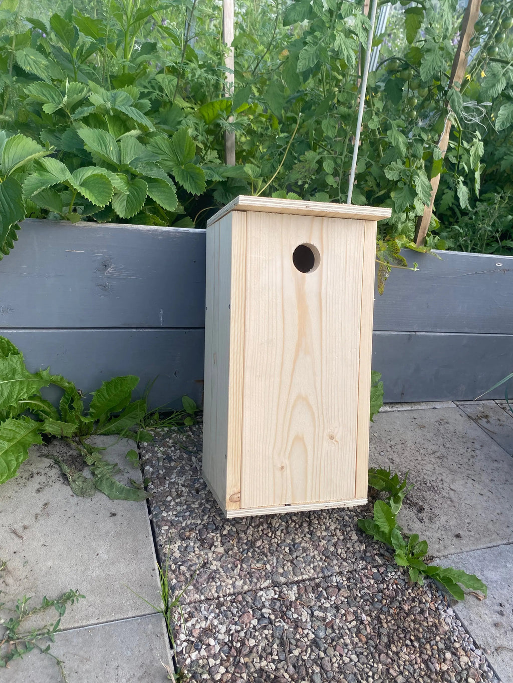 Måla själv mulmholk i trä omålad och redo att målas, monterad på trädstam som boplats för insekter och smådjur, framsida, tak och vänster sida finns.