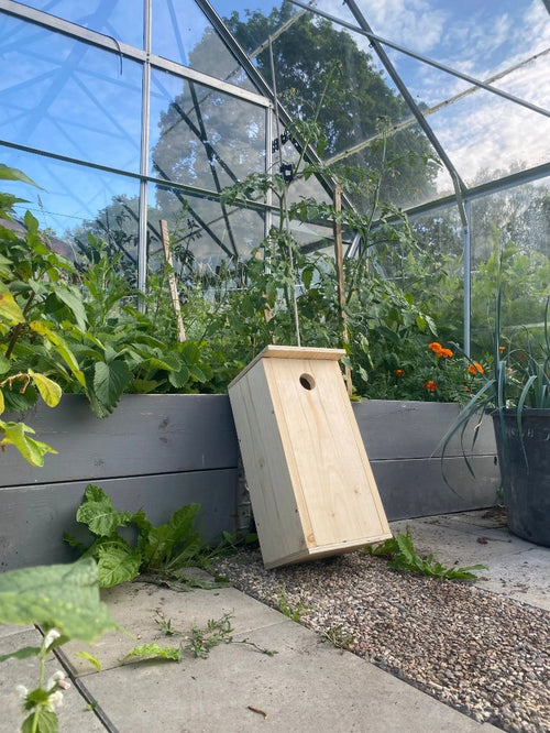 Mulmholk i omålat trä sedd framifrån placerad vid odlingsbädd visar kompakt holk för insekter och smådjur i trädgård