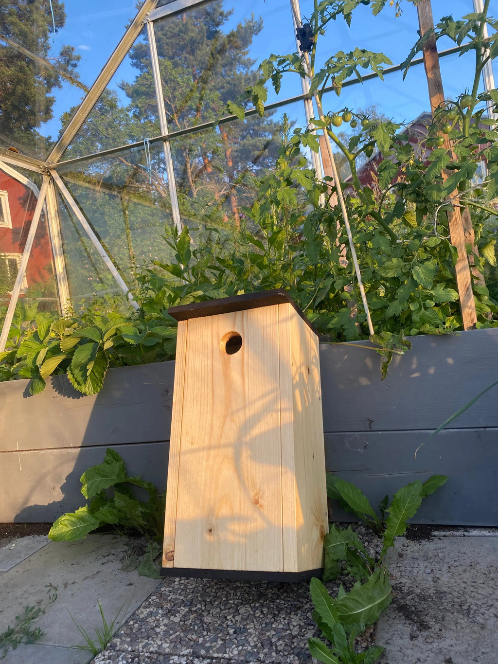 Oljad mulmholk i trä med naturlig finish monterad på trädstam som boplats för insekter och smådjur