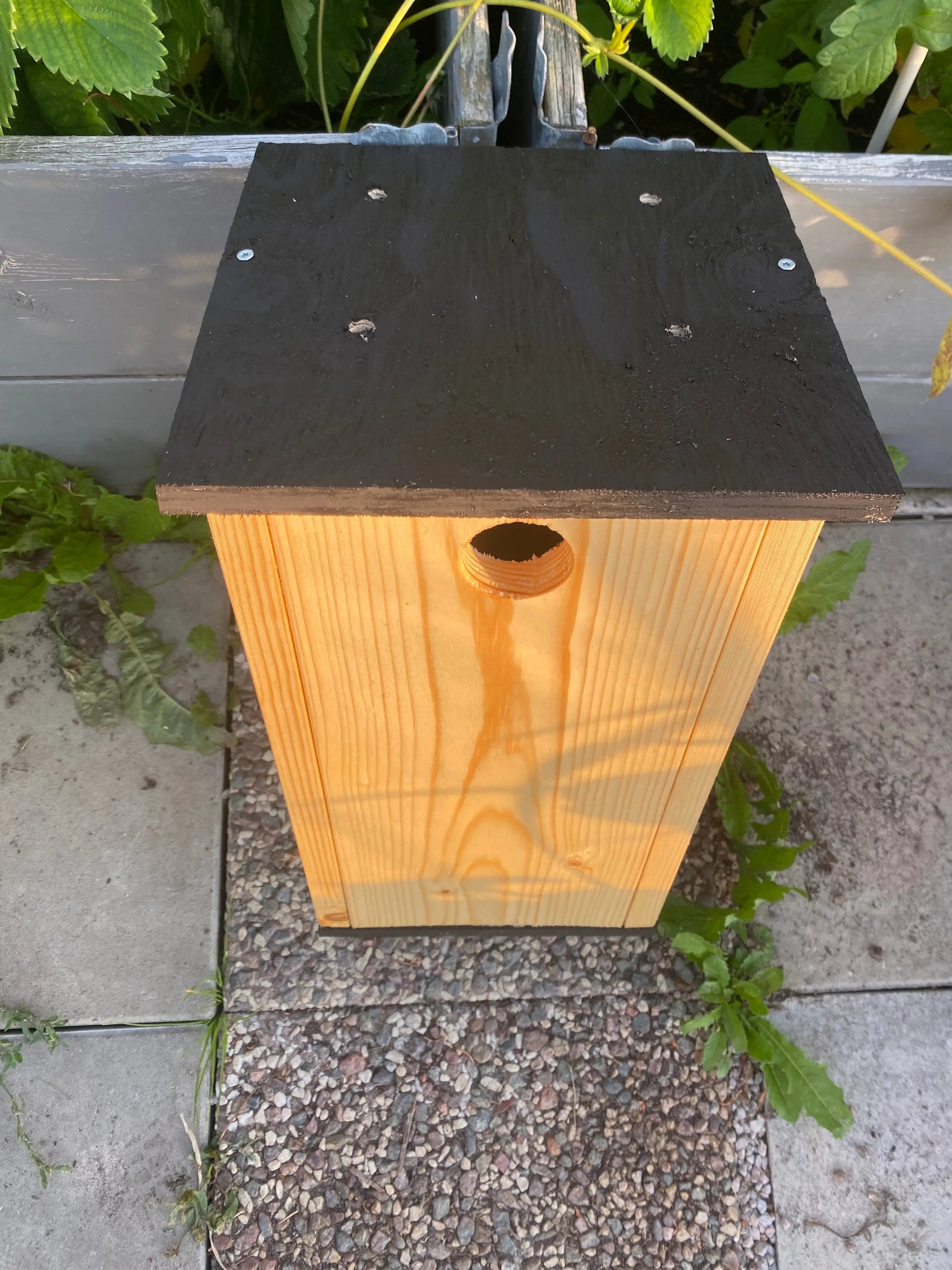 Oljad mulmholk i trä med naturlig finish monterad på trädstam som boplats för insekter och smådjur. bilden är tagen överifrån, framsida och tak syns