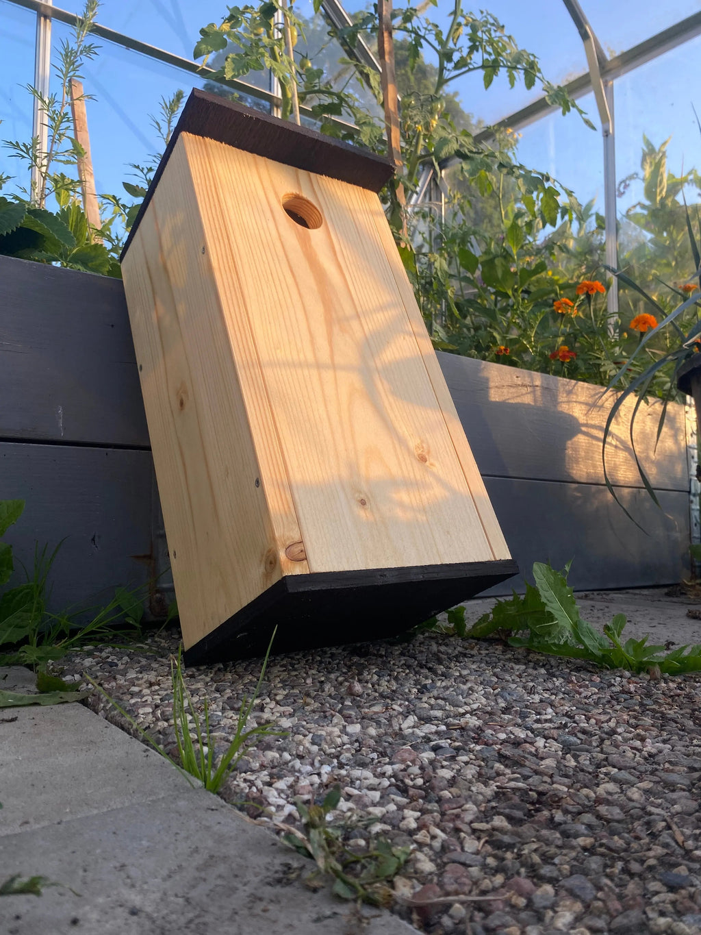 Oljad mulmholk i trä med naturlig finish monterad på trädstam som boplats för insekter och smådjur