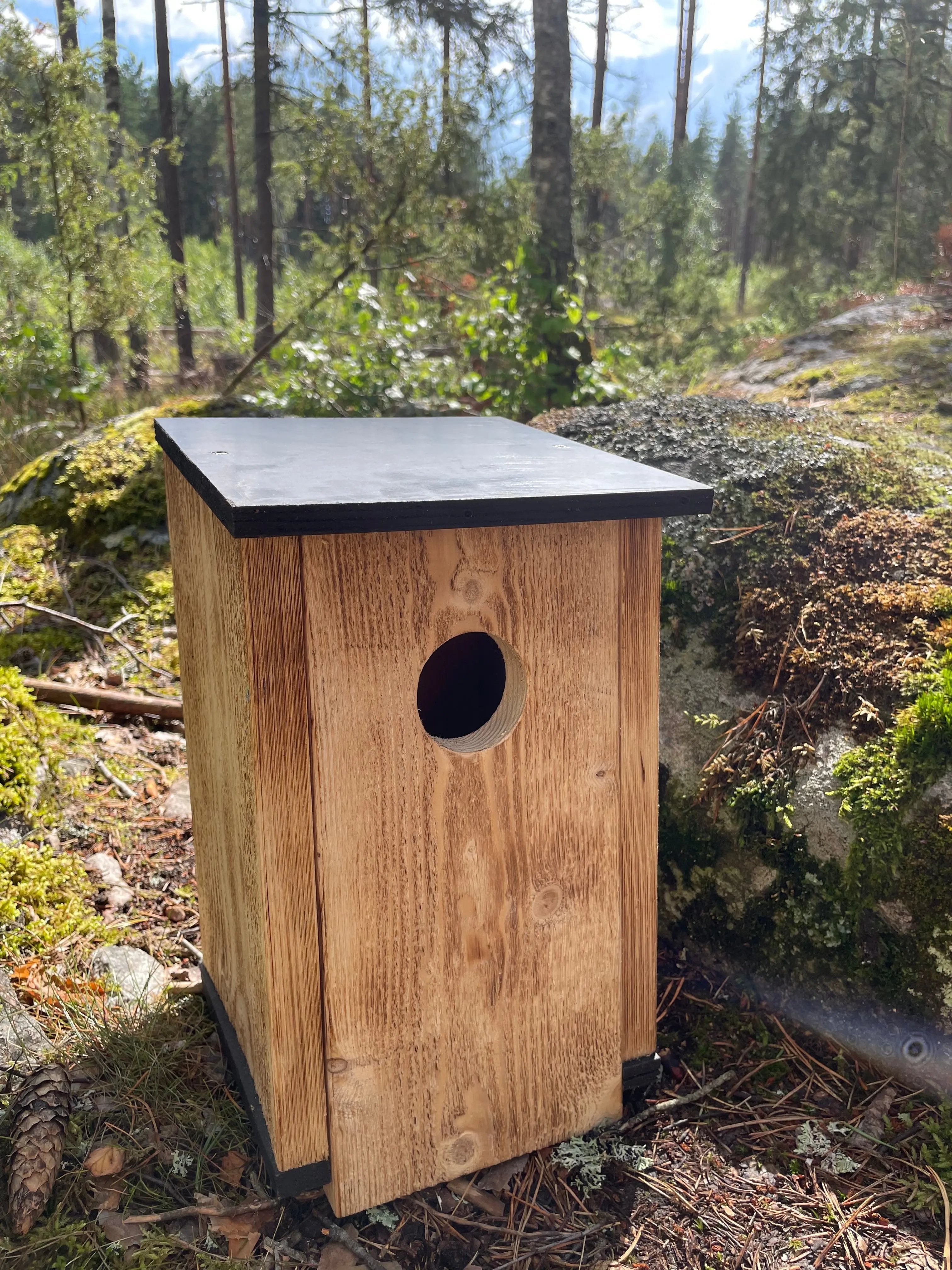 Bränd stareholk i trä i skogmiljö. ståendes brevid en sten. Solen lyser på holken och bilden är tagen från vänster vy/framifrån